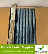 250 spiral hedge for sale 250 spiral hedge for sale  ALTON