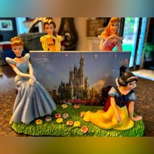 Disney princess picture for sale  Marlborough
