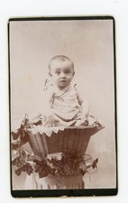 Photo photographie cdv d'occasion  Avignon