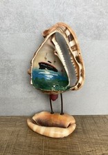 Vintage conch shell for sale  PUDSEY