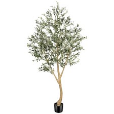 8ft faux olive for sale  Brentwood