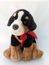 Keel benjie puppy for sale  BEDFORD