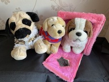 Pucci pups dog for sale  FAKENHAM