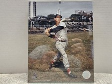 Ted williams boston for sale  Arma