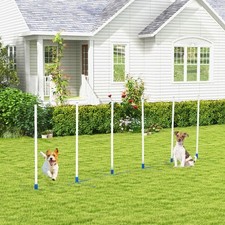 Pawhut hunde agility gebraucht kaufen  Bremen