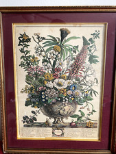large flowers framed print for sale  Mansfield