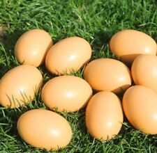 Fake nest eggs for sale  Torrance