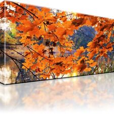 Herbst blätter see gebraucht kaufen  Deutschland