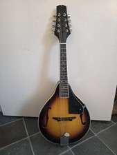 Mandolin musical instrument for sale  MARTOCK
