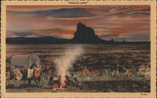 Native american navajo for sale  USA