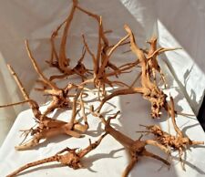 Air plant mount for sale  DRONFIELD