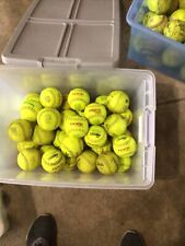 Softballs trump rock for sale  Algonquin