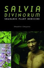 Salvia divinorum shamanic for sale  Annandale