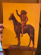 Native american indian for sale  Green Bay