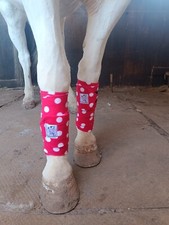 Red white spots for sale  STAFFORD