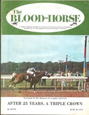 1973 blood horse for sale  Pompano Beach
