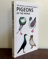 Pigeons magna illustrated for sale  SHREWSBURY
