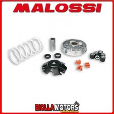 519019 variatore malossi usato  Trapani