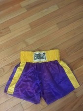 Everlast vintage purple for sale  White Lake