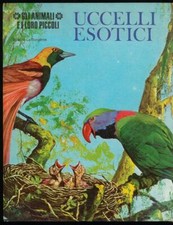 Uccelli esotici usato  Gavirate