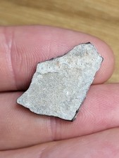 Raptor egg shell for sale  SOLIHULL