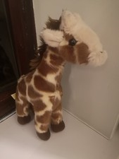 Myoni aurora small for sale  LEYBURN