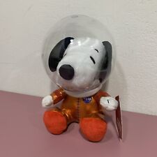 Hallmark peanuts snoopy for sale  Appleton