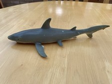 white shark for sale white shark for sale BANBURY