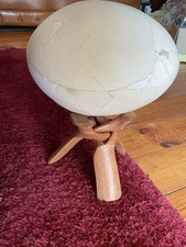 Elephant bird egg for sale  BATH
