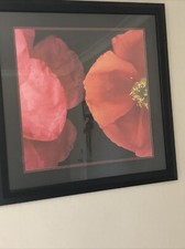Limited edition painting for sale  San Jose