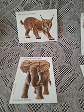 Lot images relief d'occasion Lot images relief d'occasion  Amiens-