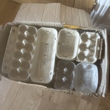 bantam eggs for sale  HUNTINGDON