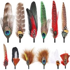 12pcs hat feathers for sale  Casper