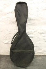 Mandolin soft case for sale  DULVERTON