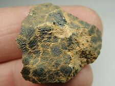 Nwa 060 carbonaceous for sale  Hebron