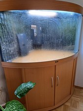 Eckaquarium komplett juwel gebraucht kaufen  Eschborn