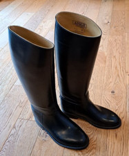 Aigle men horse for sale  STEVENAGE