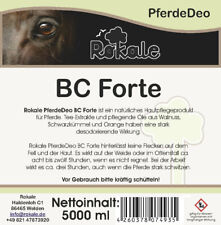 Rokale pferde deo gebraucht kaufen  Friedberg