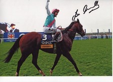 Autograph jockey tom for sale  MOTHERWELL