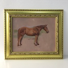 Brown stallion horse for sale  DEWSBURY
