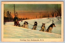 Postcard nova scotia for sale  Dayville