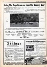 1929 alabama clover for sale  Branch