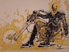 Ghost rider phil gebraucht kaufen  Düsseldorf