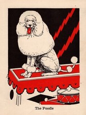 1940 antique poodle for sale  Harborton