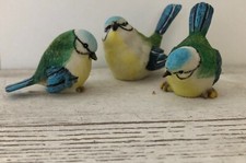 3er set blaumeise gebraucht kaufen  Sottrum