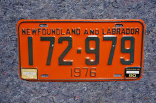 1976 1980 newfoundland for sale  Boulder