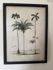 Graham green framed for sale  LONDON