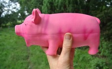 Hundespielzeug grunzendes late gebraucht kaufen  Osten