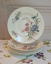 Assiettes creuses anciennes d'occasion  Castelnau-le-Lez