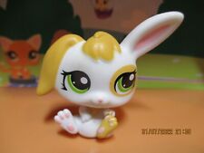 Petshop lapin bélier d'occasion  Saint-Omer